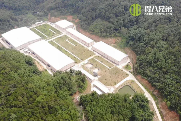 ãLíquido sistema de alimentaciónãGuangdong Zhaoqing 20000 engorde 10000 destete granja de cerdos.