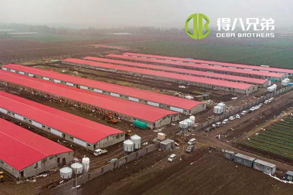 ãProyecto de línea completaãGranja de cerdas Shandong Zhucheng4800