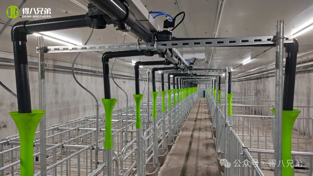 Base de demostración de cría y cultivo de cerdos negros Deba Brother Licha: operaciones integradas de 2.000 cerdas, 50.000 sacrificios anuales, 67.000 metros cuadrados