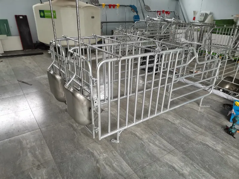 Ventajas principales del galvanizado en caliente para equipos de corrales de cría de cerdos
