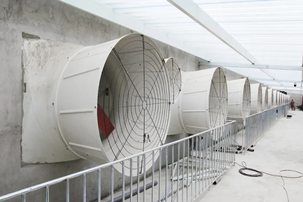 El control climático inteligente se convierte en una tendencia candente en las mejoras de granjas porcinas a gran escala