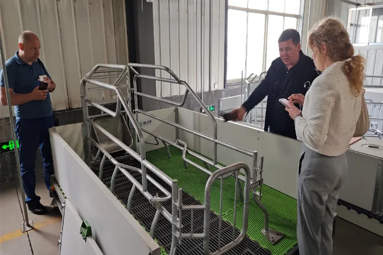 Visitas de clientes de Europa del Este para la inspección de aceptación in situ previa al envío