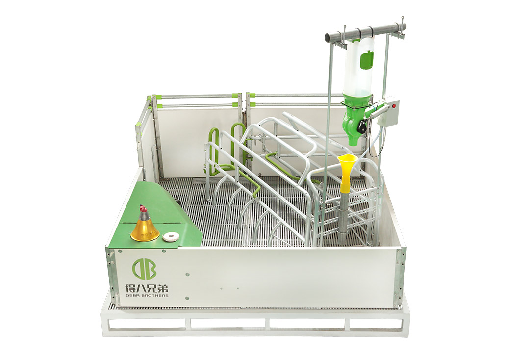 WELSAFE Corral de Parto para cerdas sueltas - Enfoque en el bienestar animal